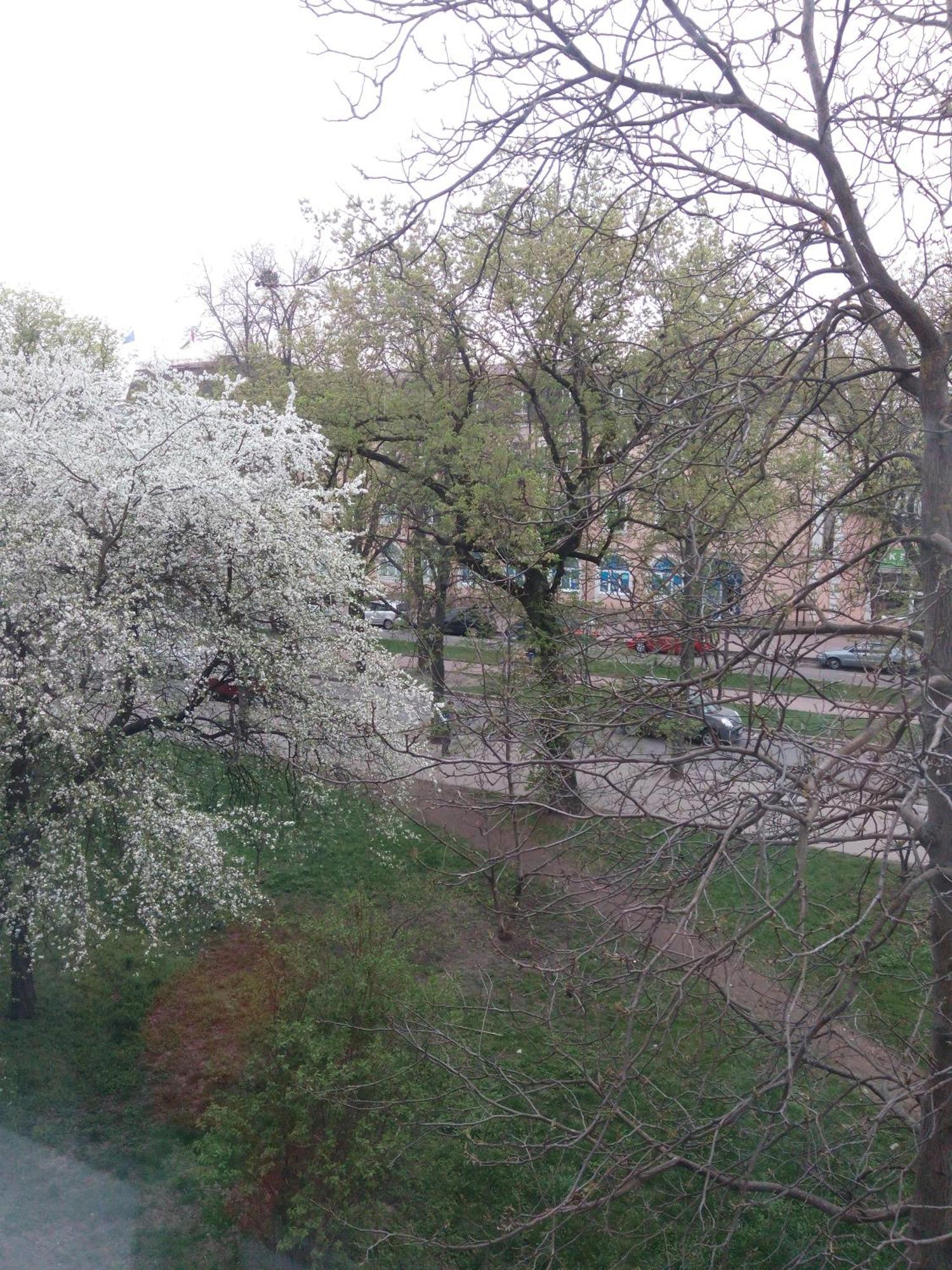 Квартира Студія В Центрі Міста Філармонія Khmel'nyts'kyy Exterior foto